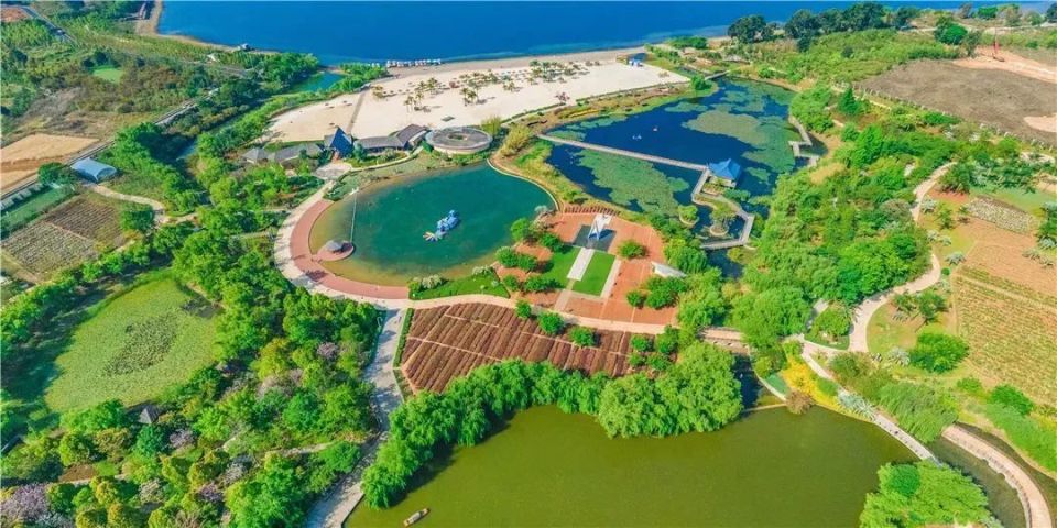 几月份去云南旅行合适,云南一月份旅游不适合去哪儿