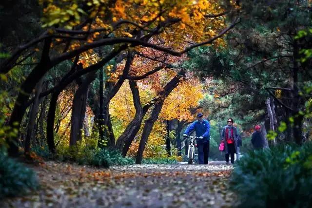 唐山云游铁路博物馆,云游唐山滦州市