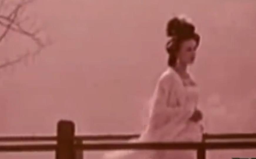 杨贵妃女儿墓之谜,杨贵妃女儿墓探索发现