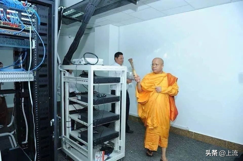 为什么台湾机房里总是长满了绿色乖乖？