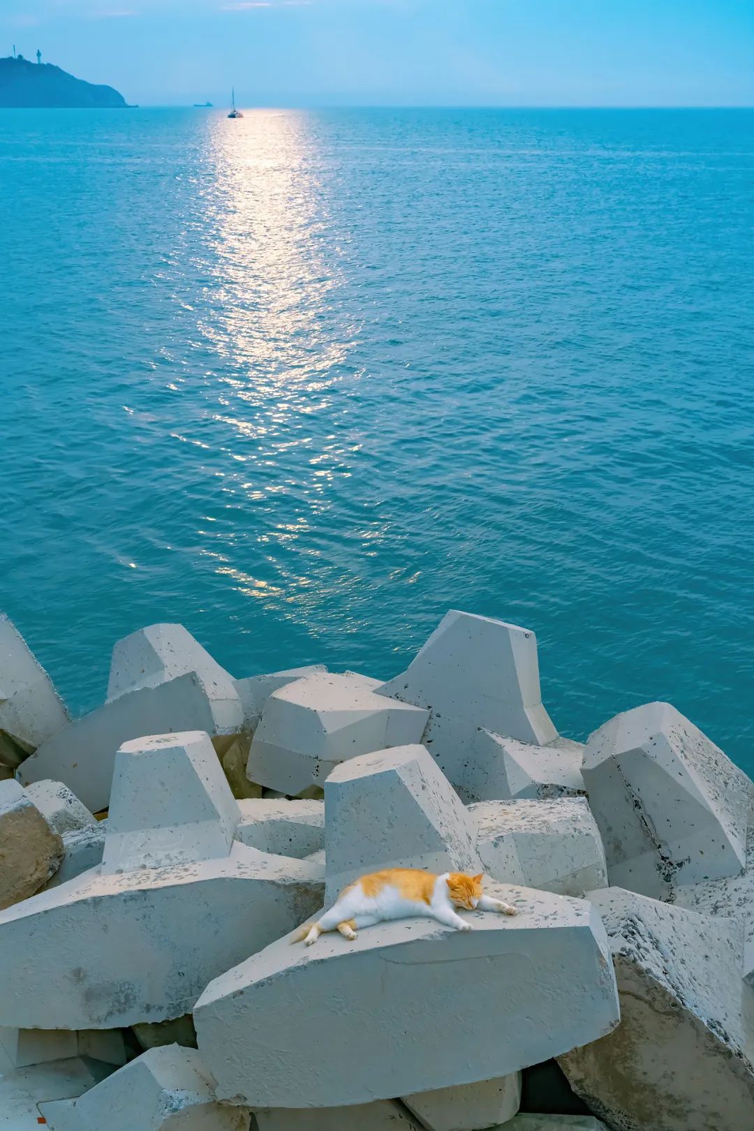 八仙过海各显神通鼠来宝,八仙过海狸猫