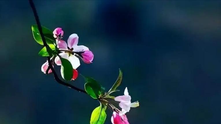 如果你的老公开始嫌弃你,当老公开始嫌弃你时该怎么办