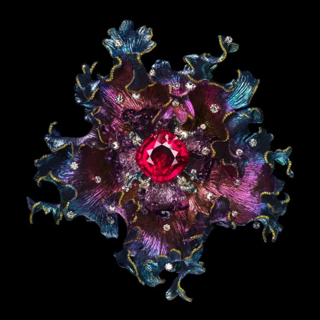 涓轰粈涔堣繖浜涘僵瀹濊繖涔堣吹,鐐僵鐝犲疂