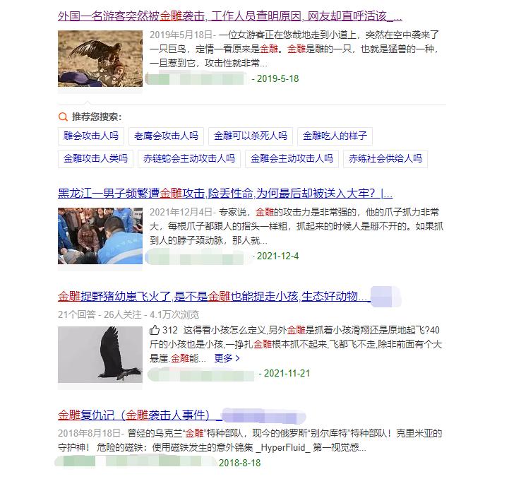 金雕击毙狼全过程,蒙古猎鹰捕狼视频