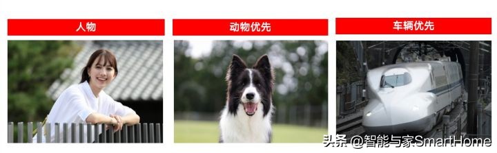 佳能性价比最高的专业全画幅相机,佳能旗舰全画幅相机推荐