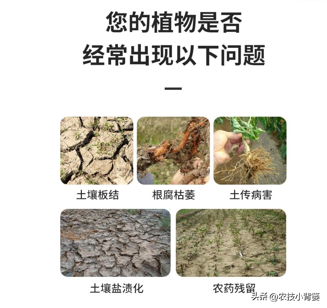 三分钟学会菌剂和菌肥的区别,菌剂和菌肥怎么选择