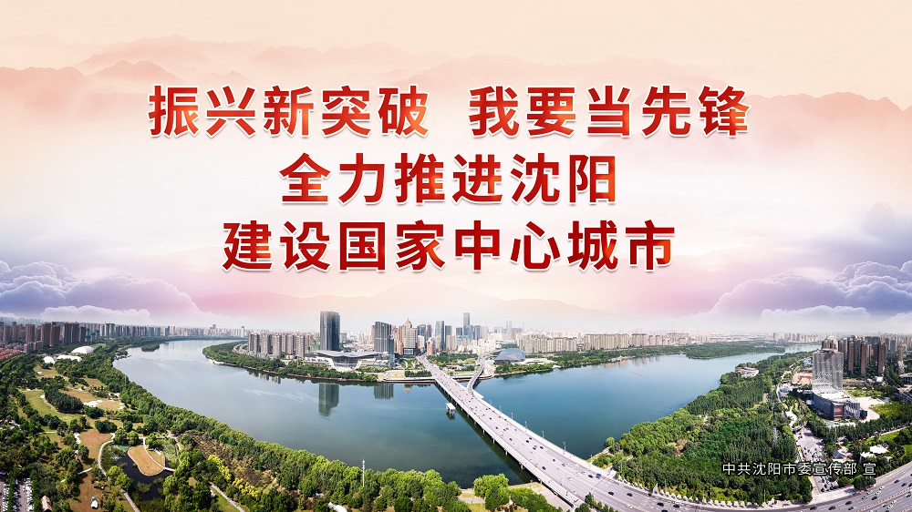 沈阳市卫生健康系统创建,沈阳市公共卫生管理