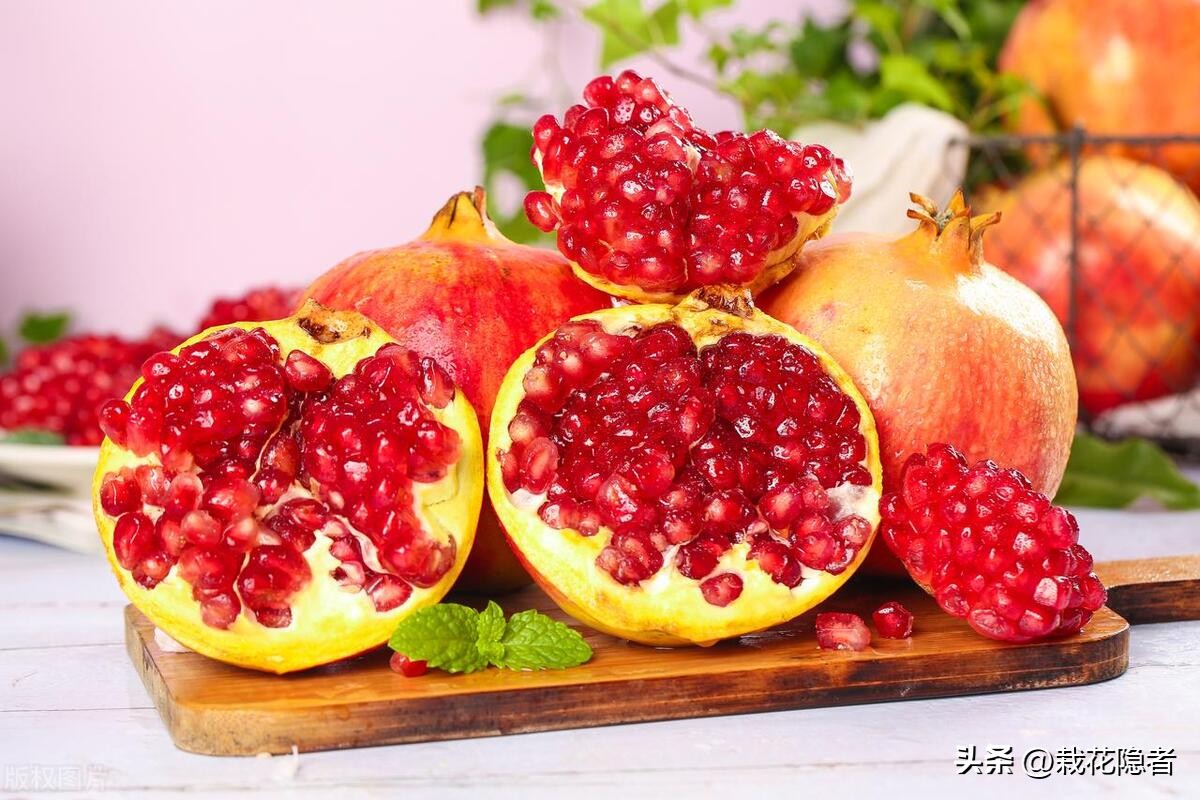 山海之别话石榴，你知道和不知道的石榴种种，一起来涨知识吧