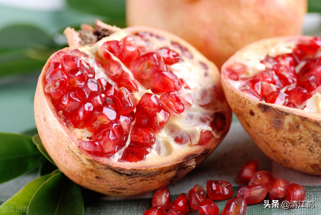 十种种子传播的方法,种子的传播方法有几种类型