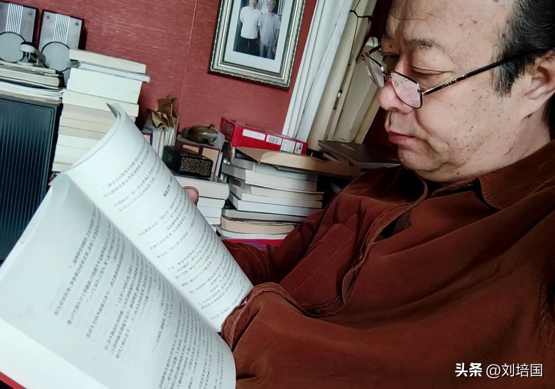 市花月季公园,市花月季