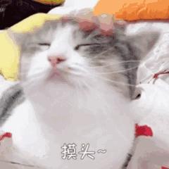 百度竞价广告推广技巧有哪些呢,百度竞价广告推广怎么做效果更好