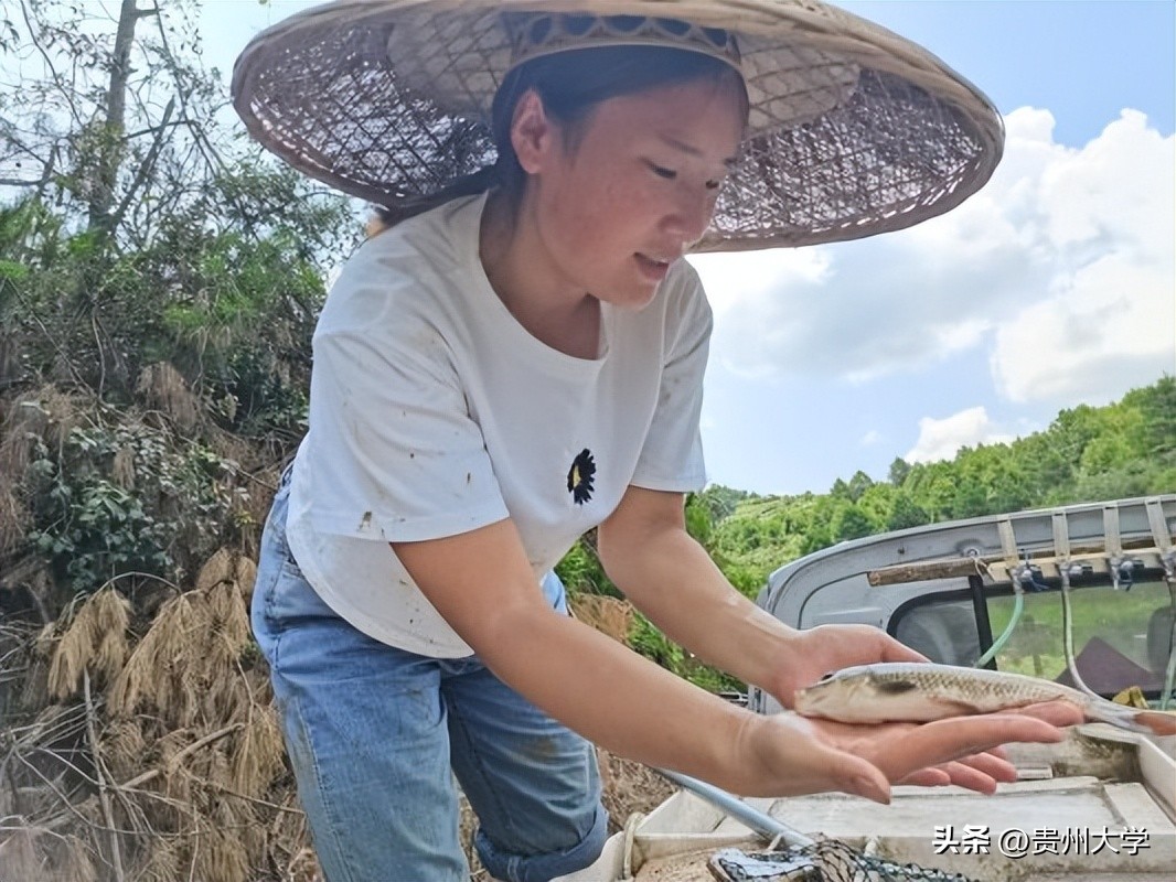 贵大这个学院,学生们的升学故事真精彩!