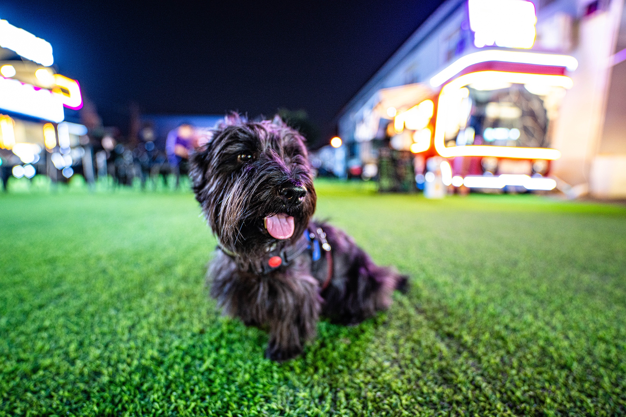 适马14mmf1.8l的实测,适马14mmf1.4测评