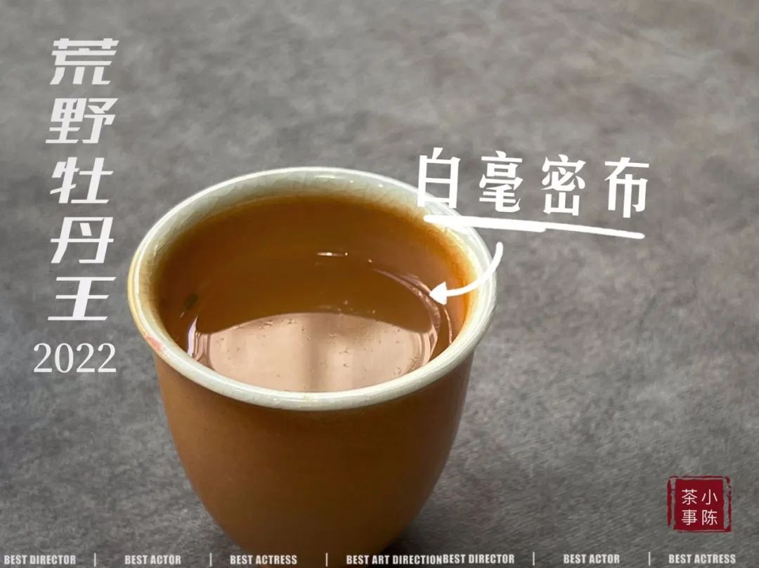 一年中哪个季节的茶叶最好喝,一年里茶叶什么季节最便宜