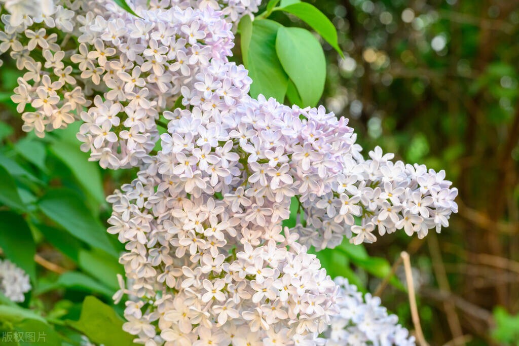 2023年100个赚钱项目,50个赚钱项目排行榜