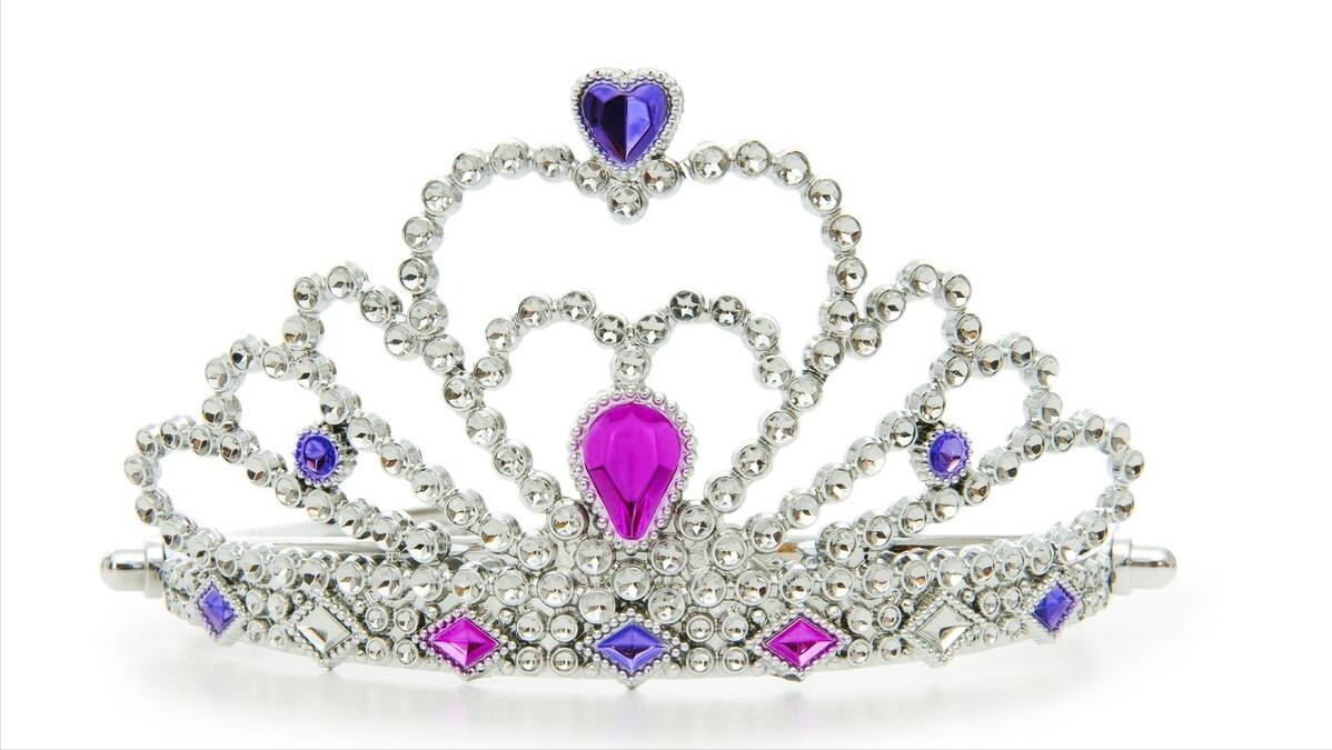 郁金香美丽的荷兰,荷兰的郁金香王国