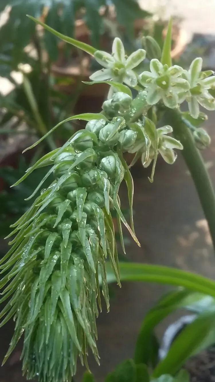 100种迷人的“数字花”,从零到一百万,真是太神奇了