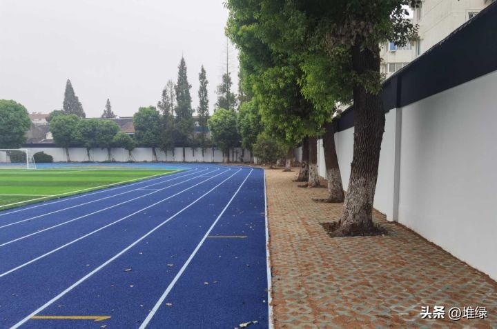 八月最新工程播报视频,八月工程播报文案