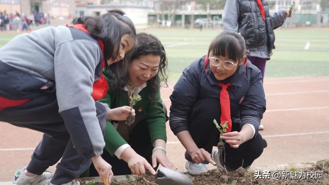 劳动创造幸福创意活动小学,劳动创造美好生活小学活动