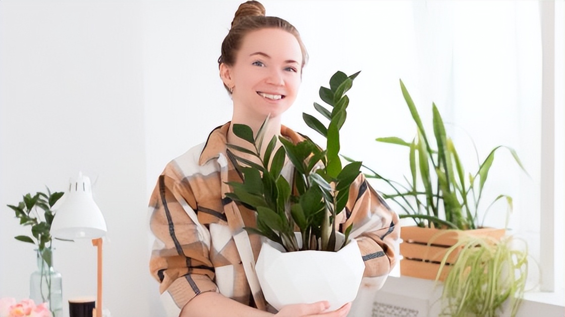 您应该选择什么样的室内植物来改善心理健康?