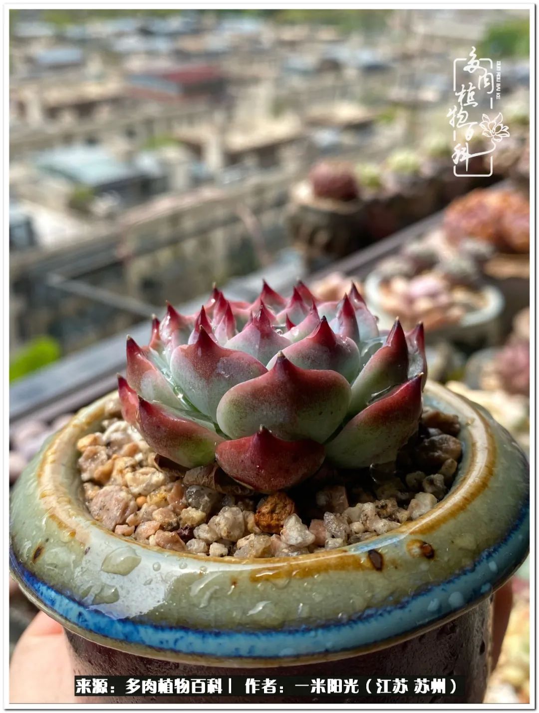 幸福就是珍惜当下所拥有的,珍惜当下所拥有的才是幸福的