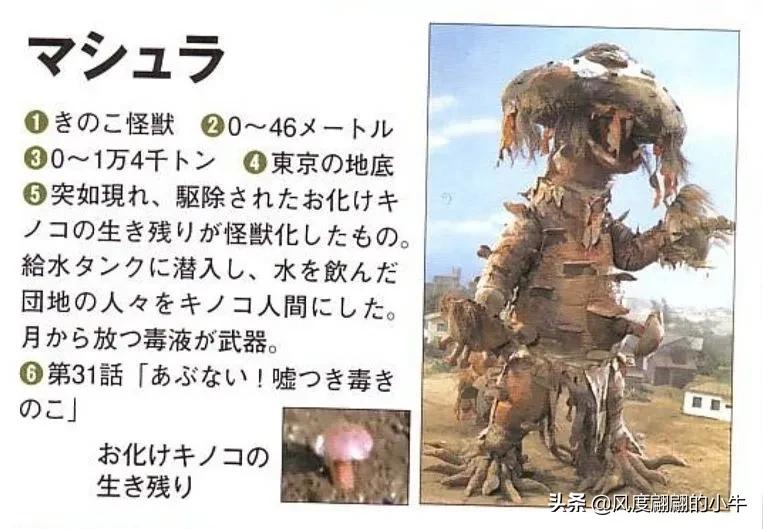 泰罗奥特曼tv版片段,泰罗奥特曼剧场版奥特物语