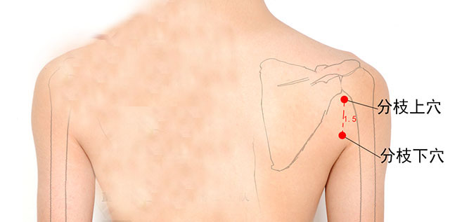 中医针灸泌尿系统疾病处方3