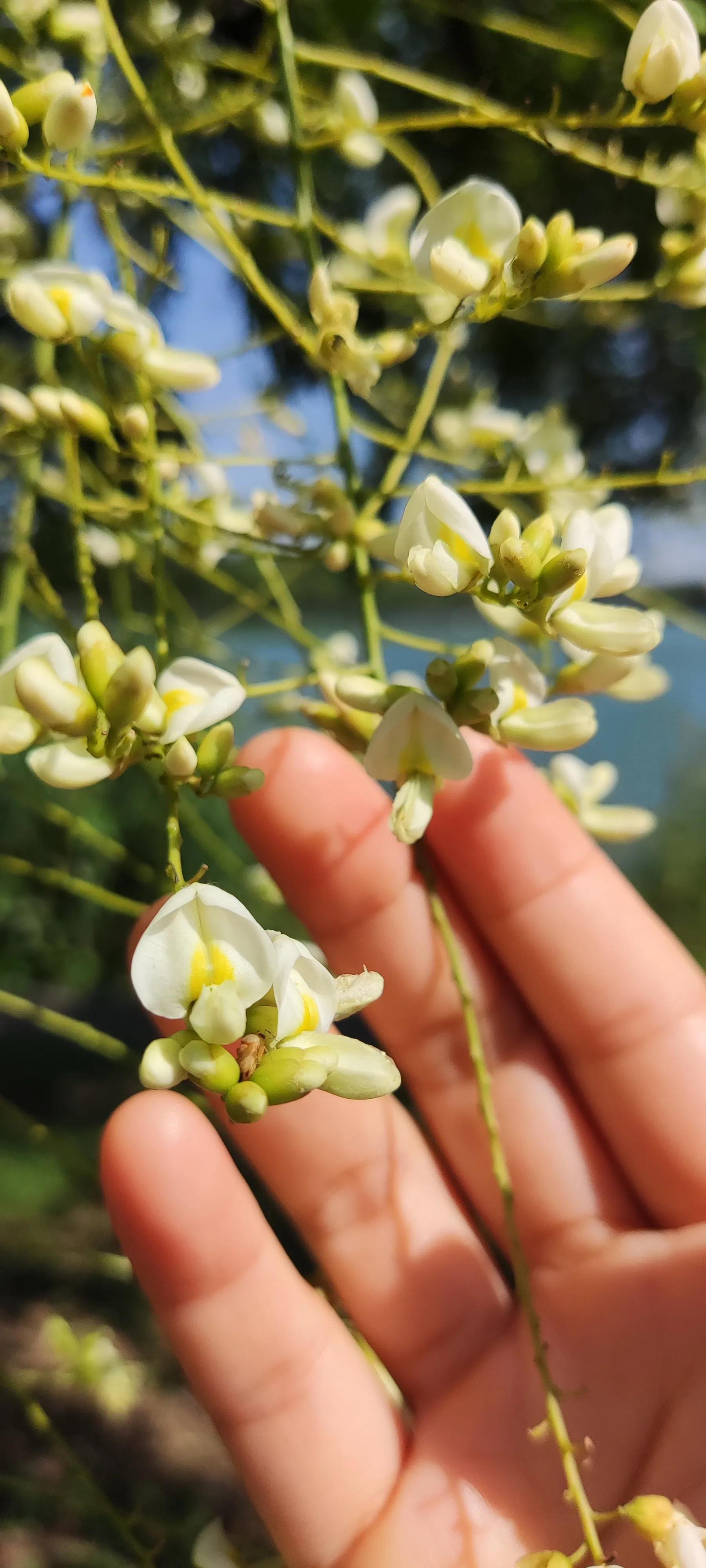 被封控都是因为什么原因,被封控一个月感言
