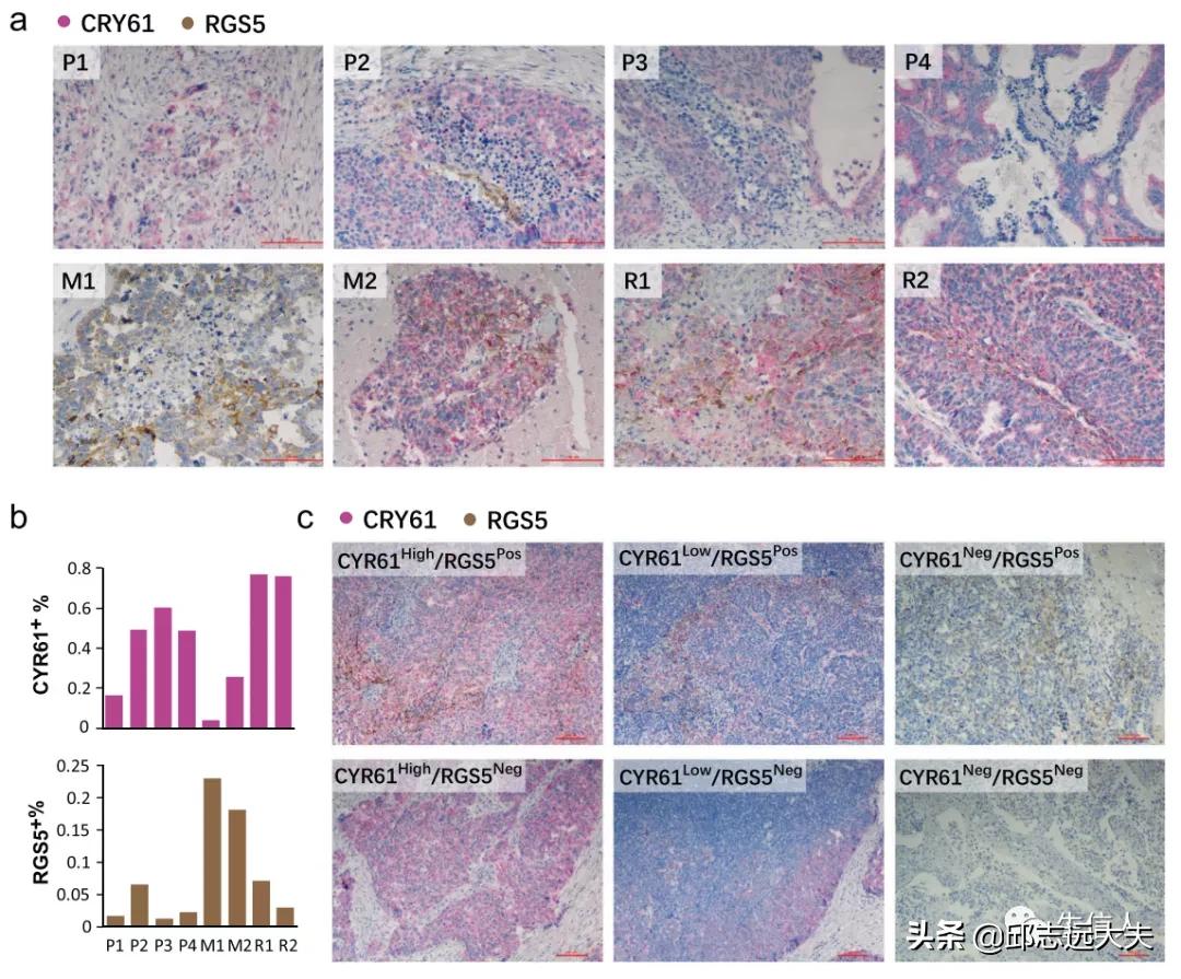 单细胞测序干湿结合,单细胞测序数据分析教程