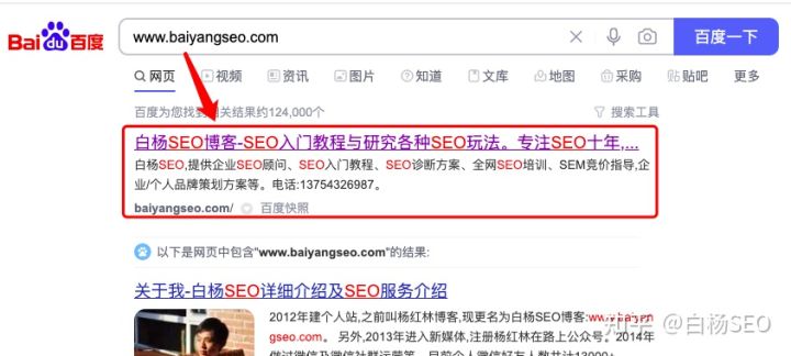 seo快速收录技术有哪些方法,白杨seo引流技巧