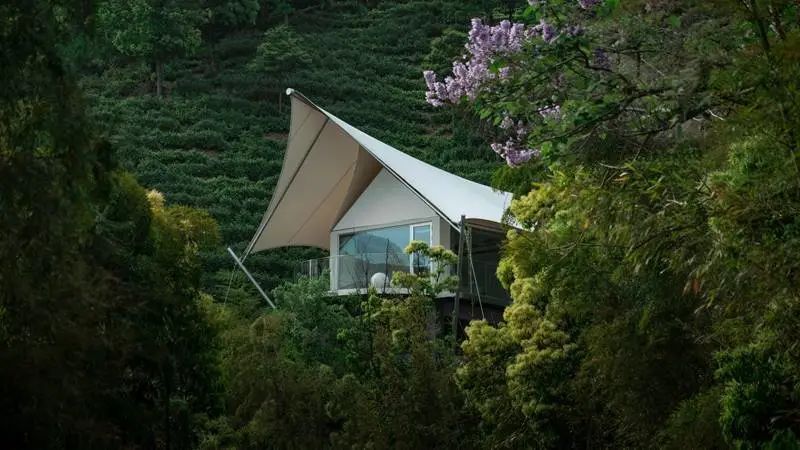 天目湖涵田度假村南山竹海,安吉涵田度假村云居照片