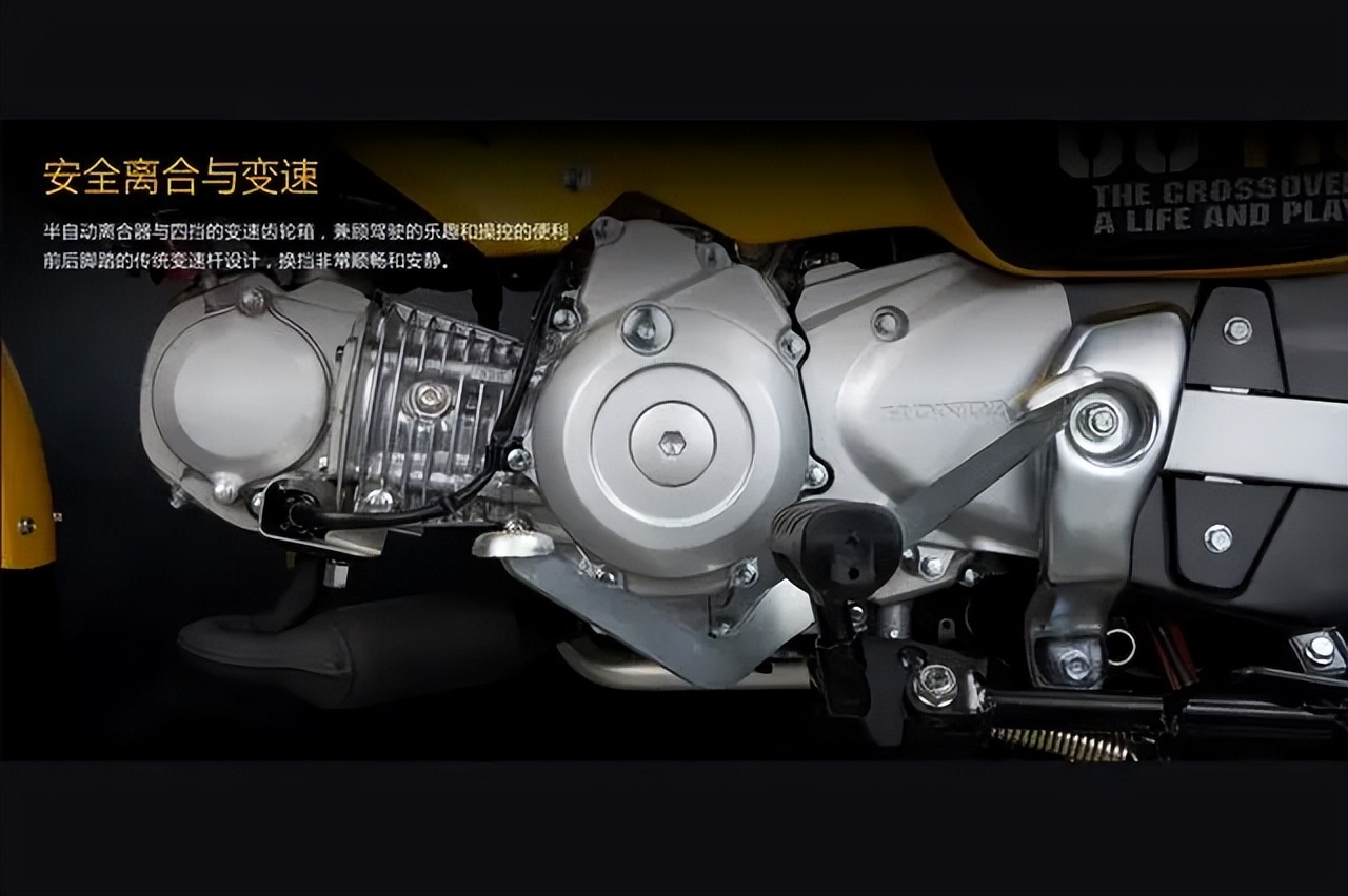 本田幼兽110中国专卖店多少钱,本田幼兽110多少钱一辆