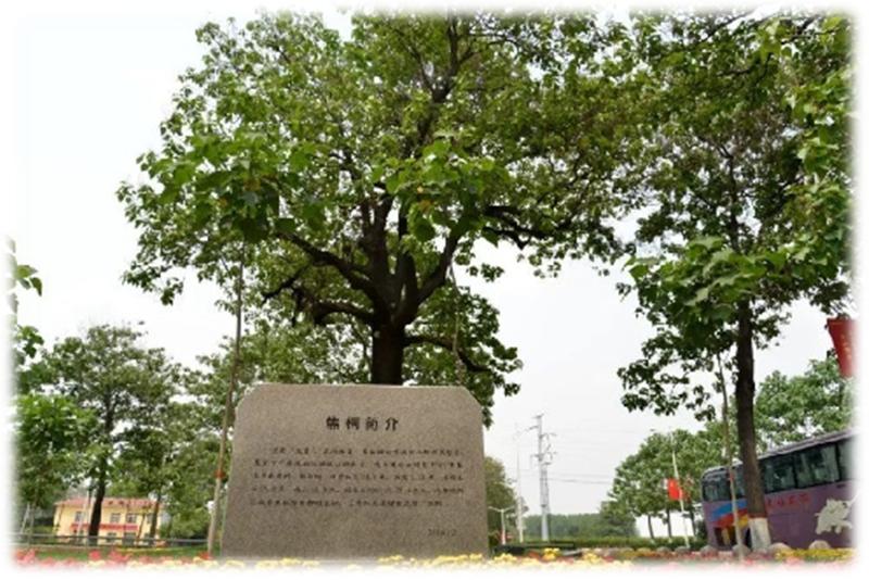 开封红色旅游攻略,开封寻访红色足迹