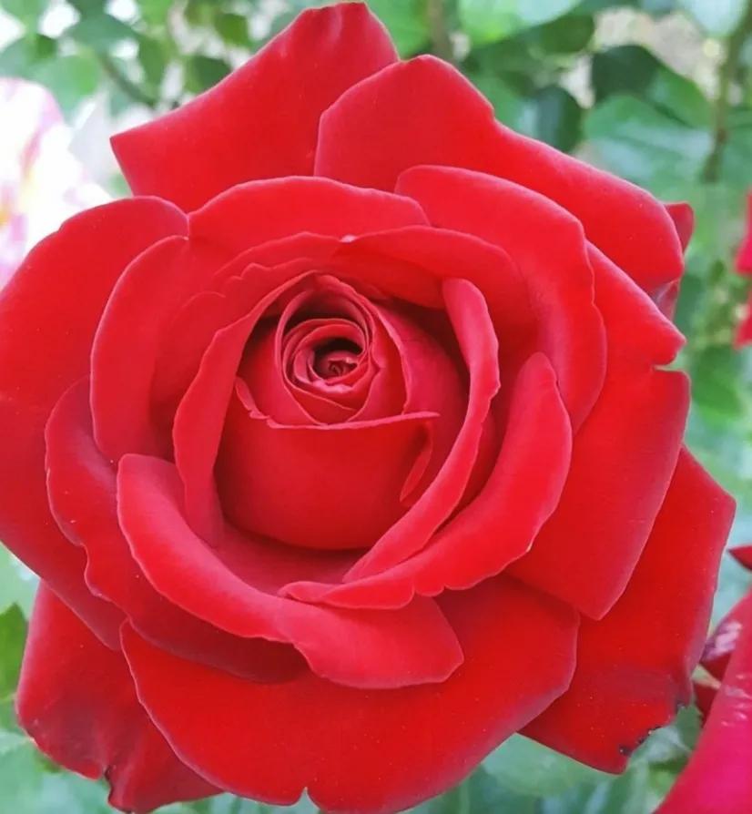 头条新手创作注意事项,头条创作注意哪些事项