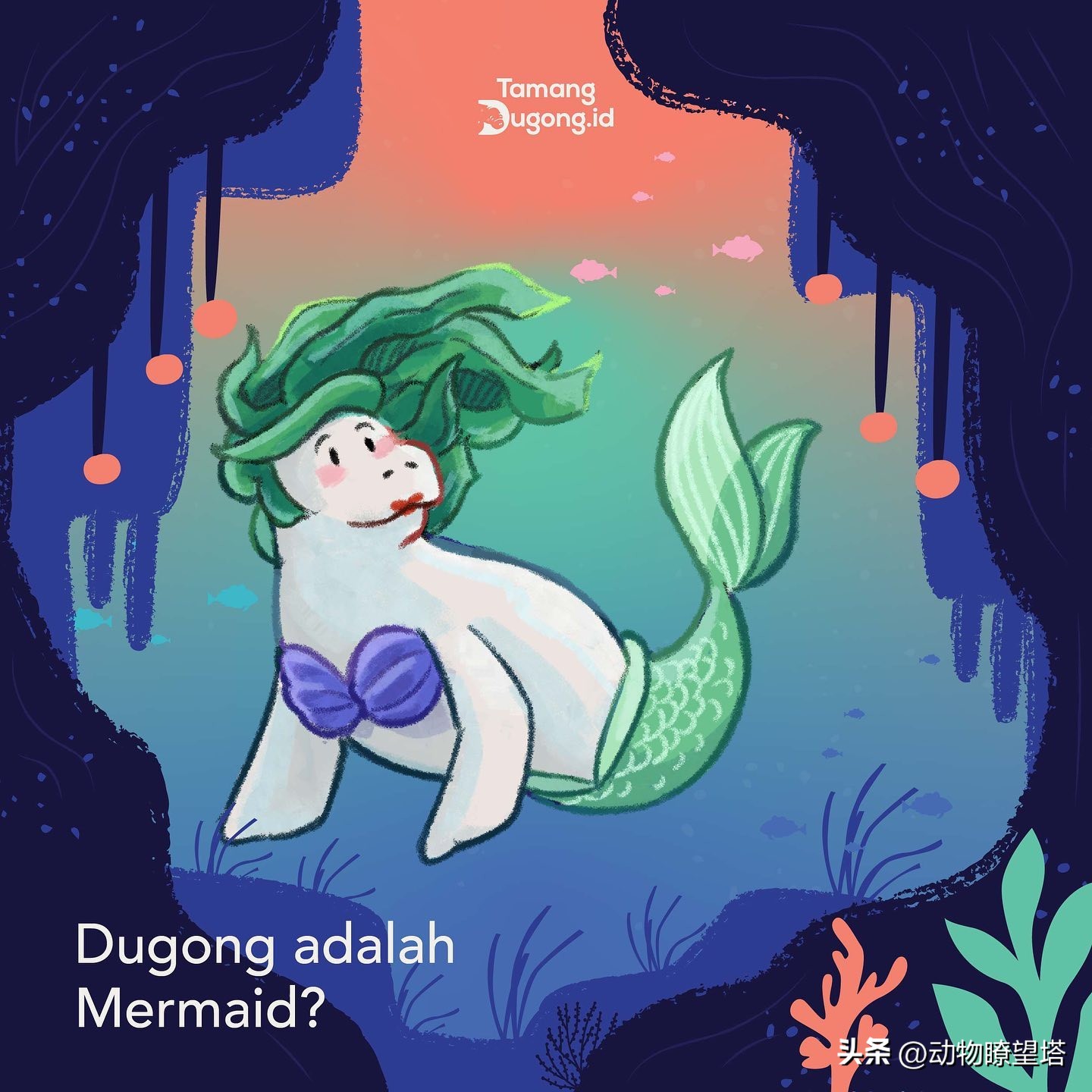 巨型儒艮灭绝,儒艮为什么遭到大量捕杀