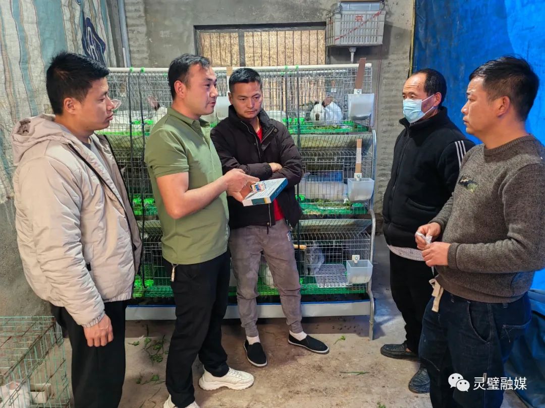 灵璧青年丁云：乡村振兴路上“兔”飞猛进