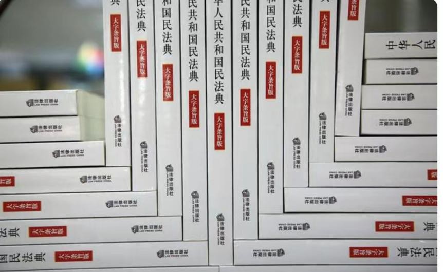 2010年,母亲为600万房产将女儿送进精神病院,声称:我是在救她