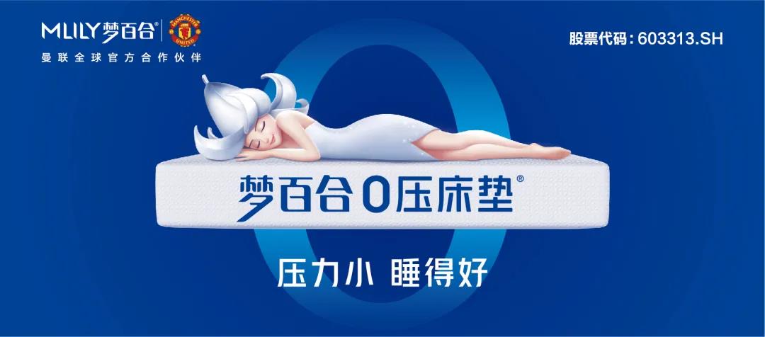 梦百合极致睡眠,梦百合零压睡眠枕跟奢华记忆枕