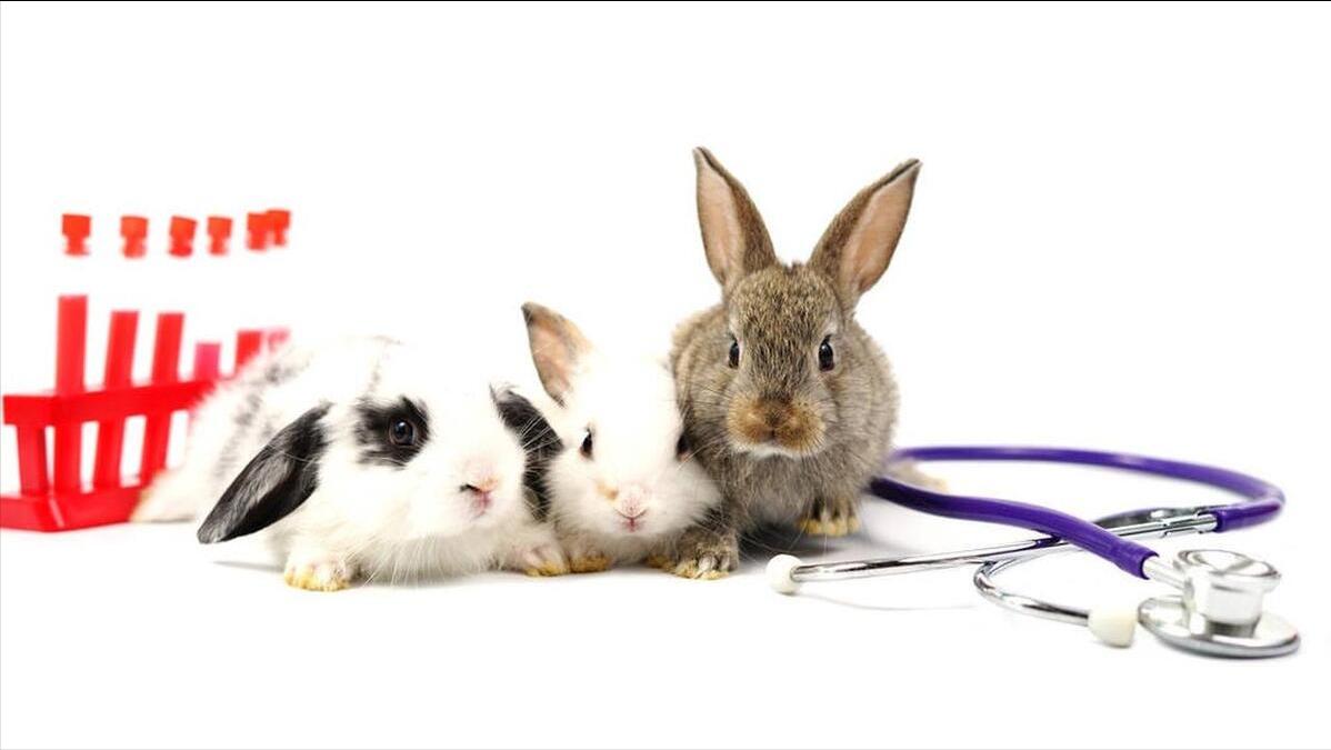 具有抗癌功效?灵芝孢子粉究竟是神药还是鸡肋,医生告诉你真相