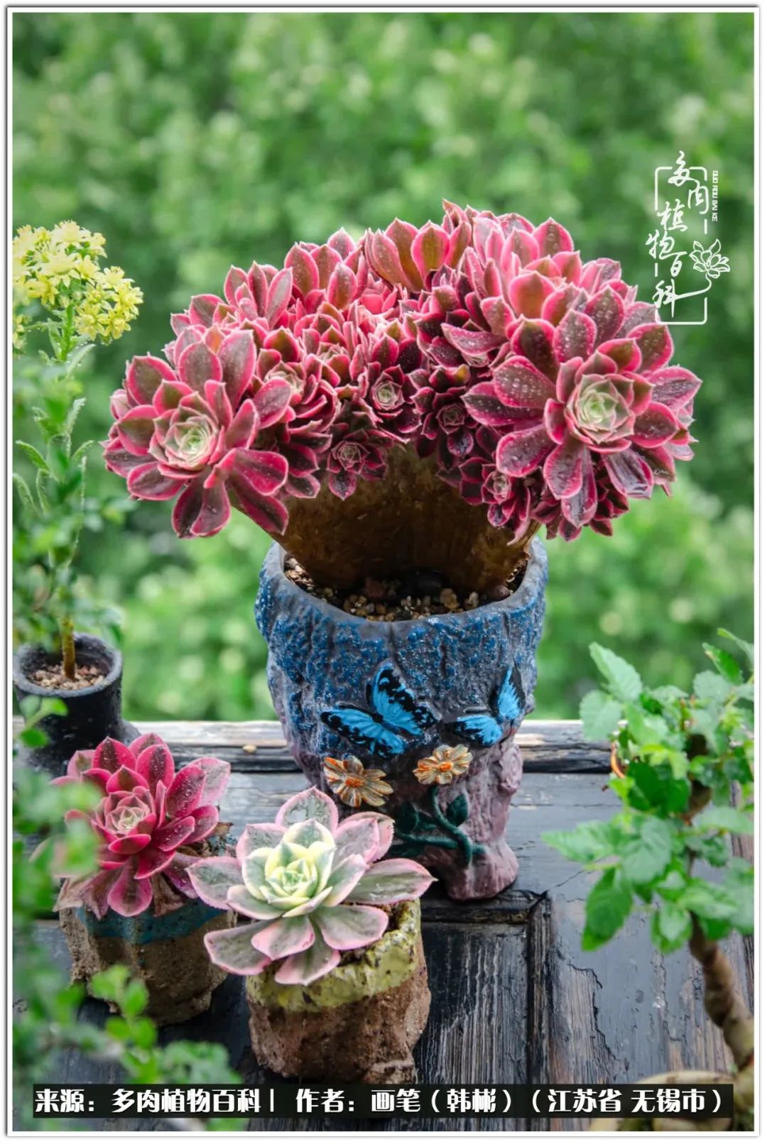 每个人的身旁都要有太阳,每个人都有一颗太阳