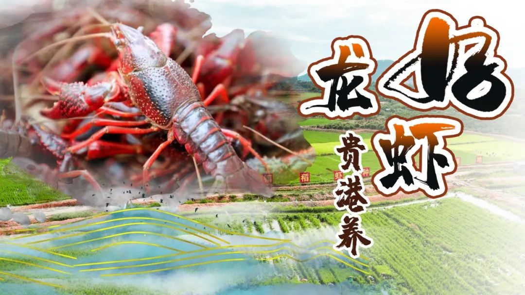 平南时钟,平南圩日什么时候