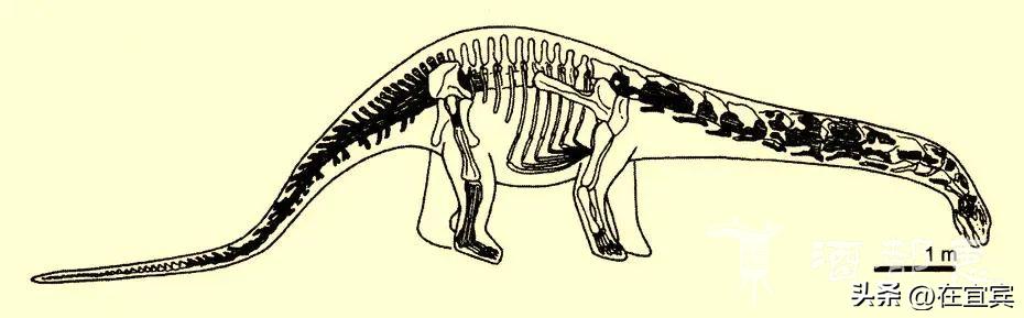 恐龙故乡黑龙江,四川的恐龙之乡