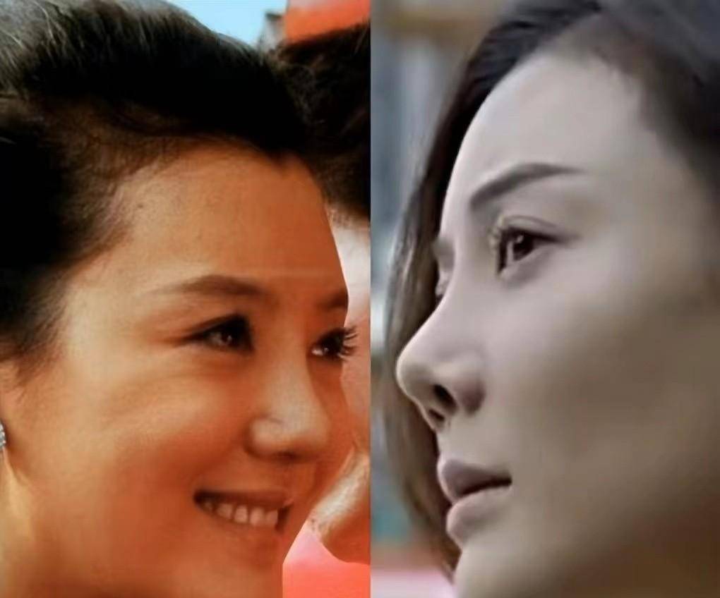 哪几个女明星的鼻子不好看,鼻子不好看的十大女星