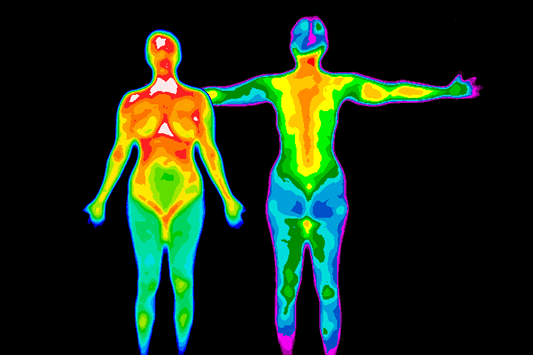 人体正常体温低烧,前几年人的正常体温