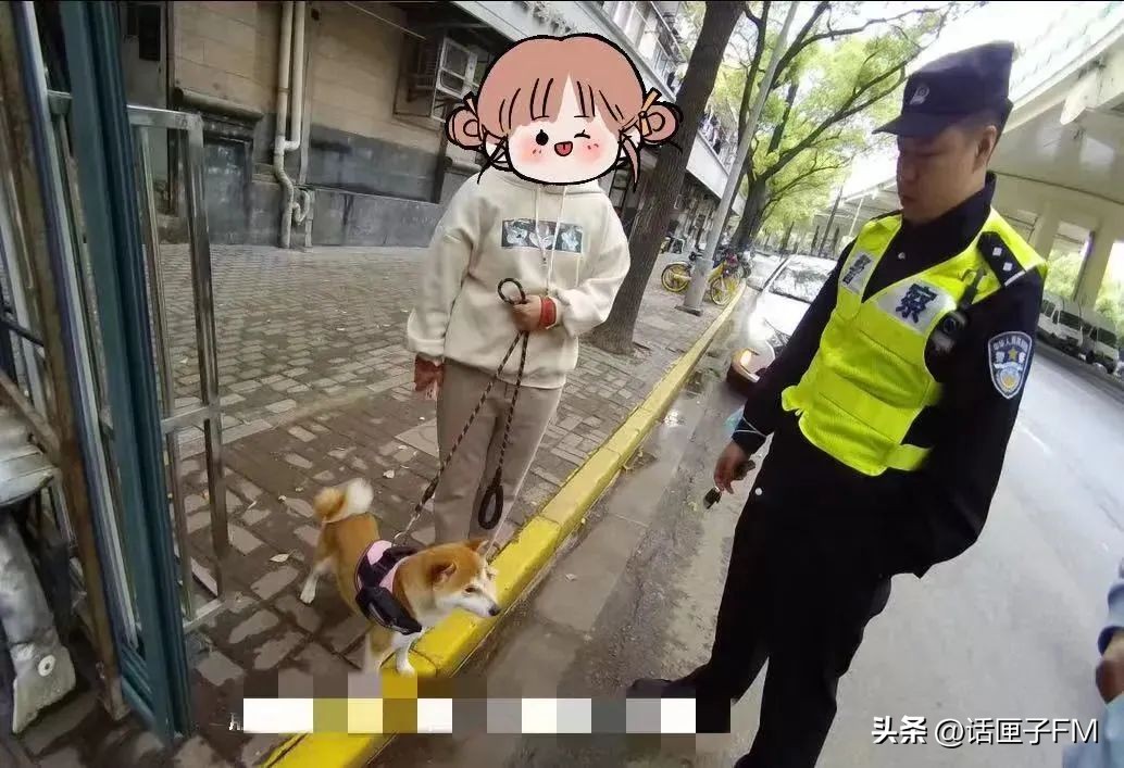 宠物走丢了有救助办法吗,宠物在宠物店走丢怎么办