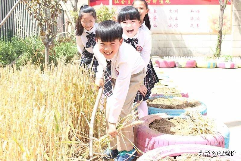 郑州市惠济区香山小学排名,惠济区香山小学好吗