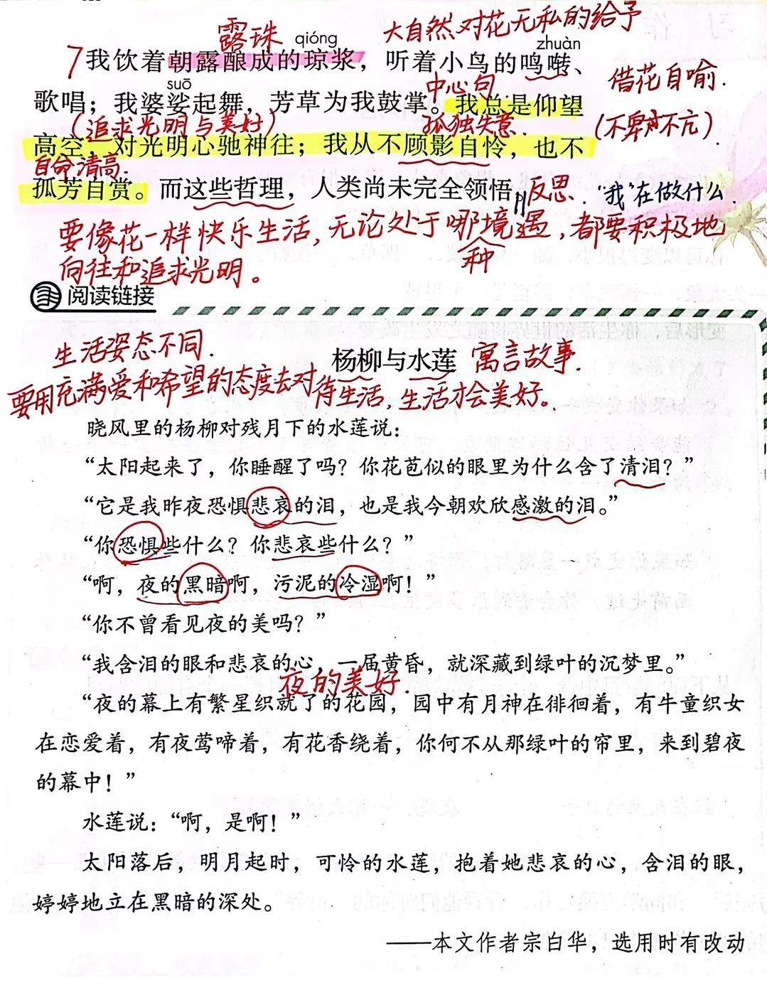 六年级语文上册第一单元笔记,六年级上册语文第五单元17课笔记