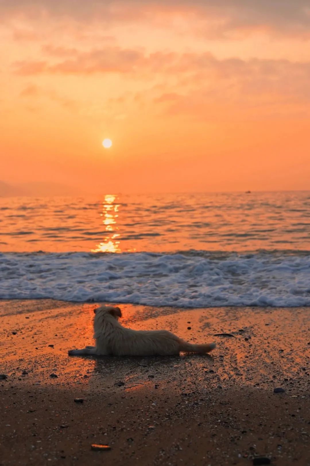 比东极岛更值得去的地方,东极岛和渔山岛哪个鱼多