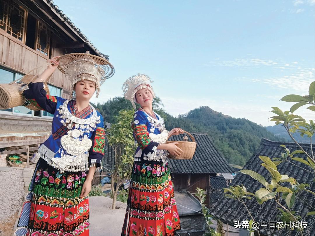 乡村振兴公益项目团队,乡村振兴的公益创业