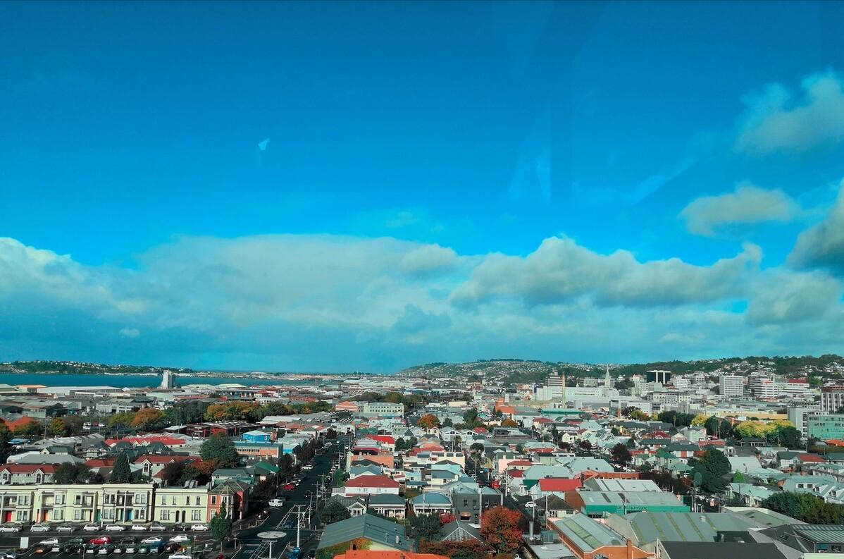 中国炒房团在海外有哪些操作,新西兰房产市场炒房最新政策